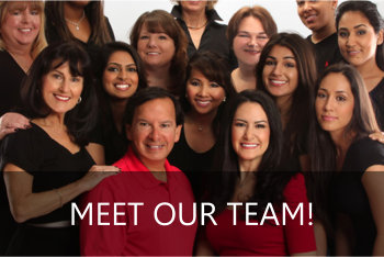 Meet Our Teams